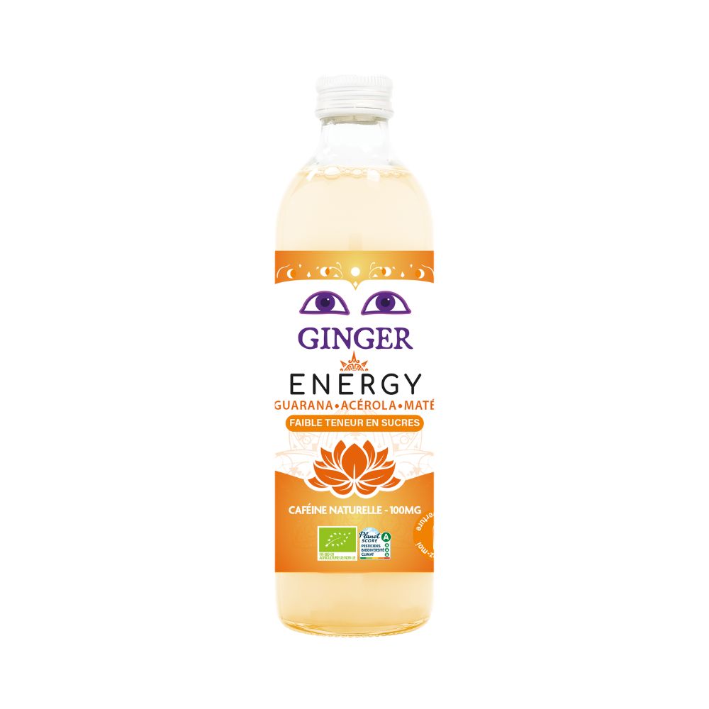 PIWO IMBIROWE ENERGY BEZALKOHOLOWE FAIR FOR LIFE BIO 350 ml - KARMA